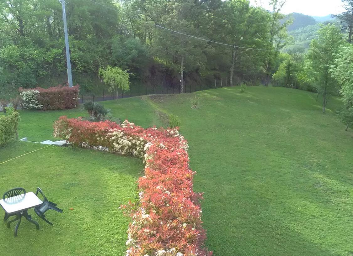 verde verde